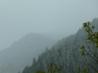 Filename=P1070516.JPG
Filesize=5595KiB
Dimensions=4320x3240
Date added=Sep 19, 2019 P1070516.JPG