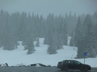 Filename=P1070518.JPG
Filesize=5570KiB
Dimensions=4320x3240
Date added=Sep 19, 2019 P1070518.JPG