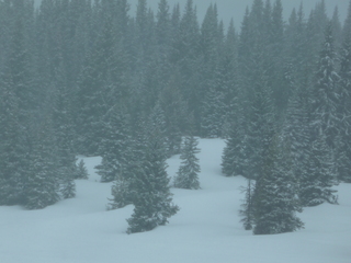 Filename=P1070519.JPG
Filesize=5410KiB
Dimensions=4320x3240
Date added=Sep 19, 2019 P1070519.JPG