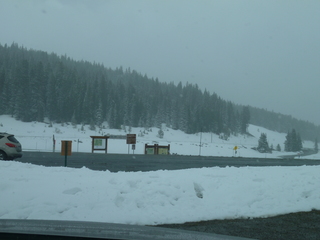 Filename=P1070522.JPG
Filesize=5181KiB
Dimensions=4320x3240
Date added=Sep 19, 2019 P1070522.JPG