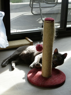 Filename=P1070571.JPG
Filesize=4809KiB
Dimensions=3240x4320
Date added=Sep 19, 2019 P1070571.JPG