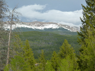 Filename=P1070573.JPG
Filesize=5842KiB
Dimensions=4320x3240
Date added=Sep 19, 2019 P1070573.JPG