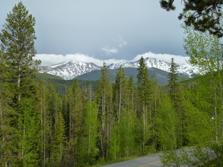 Filename=P1070579.JPG
Filesize=6049KiB
Dimensions=4320x3240
Date added=Sep 19, 2019 P1070579.JPG