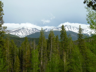 Filename=P1070580.JPG
Filesize=5559KiB
Dimensions=4320x3240
Date added=Sep 19, 2019 P1070580.JPG