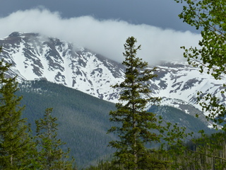 Filename=P1070585.JPG
Filesize=5616KiB
Dimensions=4320x3240
Date added=Sep 19, 2019 P1070585.JPG