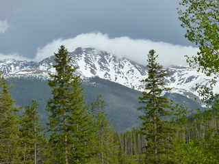 Filename=P1070586.JPG
Filesize=5915KiB
Dimensions=4320x3240
Date added=Sep 19, 2019 P1070586.JPG