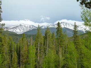 Filename=P1070587.JPG
Filesize=5942KiB
Dimensions=4320x3240
Date added=Sep 19, 2019 P1070587.JPG