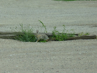 Filename=P1070590.JPG
Filesize=5633KiB
Dimensions=4320x3240
Date added=Sep 19, 2019 P1070590.JPG