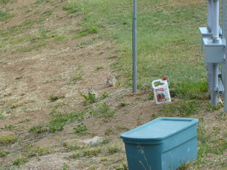 Filename=P1070593.JPG
Filesize=5323KiB
Dimensions=4320x3240
Date added=Sep 19, 2019 P1070593.JPG