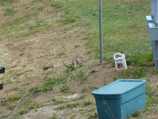 Filename=P1070594.JPG
Filesize=5439KiB
Dimensions=4320x3240
Date added=Sep 19, 2019 P1070594.JPG