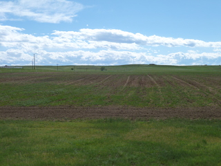 Filename=P1070597.JPG
Filesize=5647KiB
Dimensions=4320x3240
Date added=Sep 19, 2019 P1070597.JPG