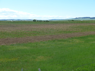 Filename=P1070598.JPG
Filesize=5668KiB
Dimensions=4320x3240
Date added=Sep 19, 2019 P1070598.JPG