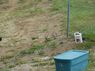 Filename=P1070599.JPG
Filesize=5389KiB
Dimensions=4320x3240
Date added=Sep 19, 2019 P1070599.JPG