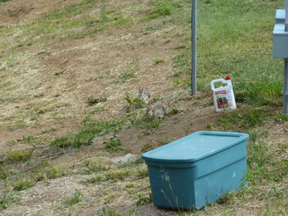 Filename=P1070602.JPG
Filesize=5306KiB
Dimensions=4320x3240
Date added=Sep 19, 2019 P1070602.JPG