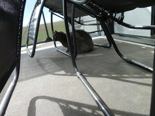 Filename=P1070604.JPG
Filesize=5317KiB
Dimensions=4320x3240
Date added=Sep 19, 2019 P1070604.JPG