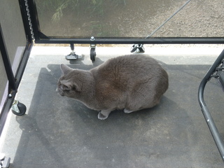 Filename=P1070605.JPG
Filesize=5981KiB
Dimensions=4320x3240
Date added=Sep 19, 2019 P1070605.JPG