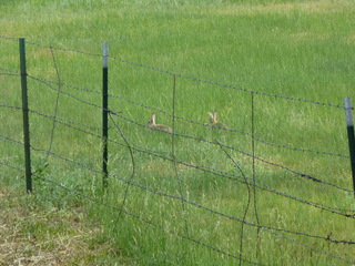 Filename=P1070606.JPG
Filesize=5424KiB
Dimensions=4320x3240
Date added=Sep 19, 2019 P1070606.JPG