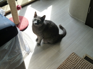 Filename=P1070611.JPG
Filesize=5536KiB
Dimensions=4320x3240
Date added=Sep 19, 2019 P1070611.JPG