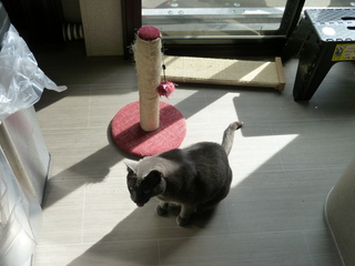 Filename=P1070612.JPG
Filesize=5615KiB
Dimensions=4320x3240
Date added=Sep 19, 2019 P1070612.JPG