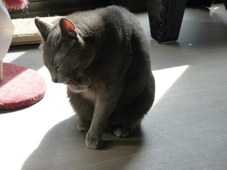 Filename=P1070613.JPG
Filesize=5695KiB
Dimensions=4320x3240
Date added=Sep 19, 2019 P1070613.JPG