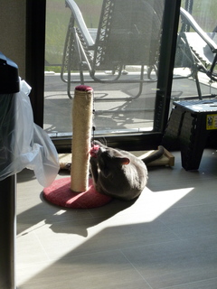 Filename=P1070615.JPG
Filesize=4971KiB
Dimensions=3240x4320
Date added=Sep 19, 2019 P1070615.JPG