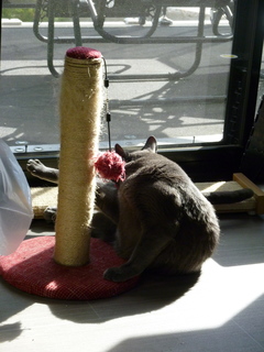 Filename=P1070616.JPG
Filesize=4921KiB
Dimensions=3240x4320
Date added=Sep 19, 2019 P1070616.JPG