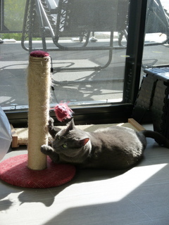 Filename=P1070619.JPG
Filesize=5112KiB
Dimensions=3240x4320
Date added=Sep 19, 2019 P1070619.JPG