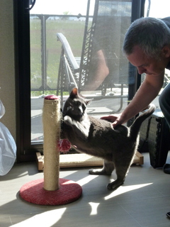 Filename=P1070621.JPG
Filesize=4886KiB
Dimensions=3240x4320
Date added=Sep 19, 2019 P1070621.JPG