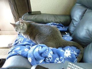 Filename=P1070622.JPG
Filesize=5518KiB
Dimensions=4320x3240
Date added=Sep 19, 2019 P1070622.JPG