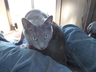 Filename=P1070625.JPG
Filesize=2915KiB
Dimensions=4320x3240
Date added=Sep 19, 2019 P1070625.JPG