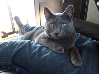 Filename=P1070626.JPG
Filesize=4570KiB
Dimensions=4320x3240
Date added=Sep 19, 2019 P1070626.JPG