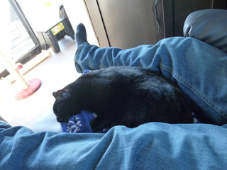 Filename=P1070628.JPG
Filesize=5272KiB
Dimensions=4320x3240
Date added=Sep 19, 2019 P1070628.JPG