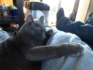 Filename=P1070632.JPG
Filesize=4464KiB
Dimensions=4320x3240
Date added=Sep 19, 2019 P1070632.JPG