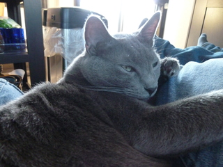 Filename=P1070633.JPG
Filesize=4484KiB
Dimensions=4320x3240
Date added=Sep 19, 2019 P1070633.JPG