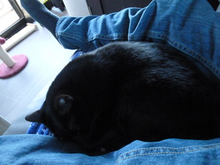 Filename=P1070637.JPG
Filesize=3410KiB
Dimensions=4320x3240
Date added=Sep 19, 2019 P1070637.JPG