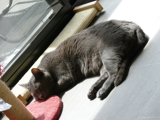 Filename=P1070638.JPG
Filesize=5984KiB
Dimensions=4320x3240
Date added=Sep 19, 2019 P1070638.JPG