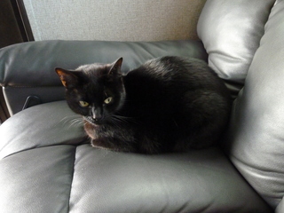 Filename=P1070640.JPG
Filesize=5080KiB
Dimensions=4320x3240
Date added=Sep 19, 2019 P1070640.JPG