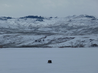 Filename=P1080368.JPG
Filesize=5627KiB
Dimensions=4320x3240
Date added=Jan 15, 2020 P1080368.JPG