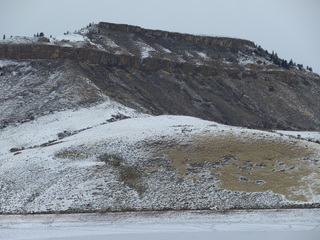 Filename=P1080393.JPG
Filesize=5831KiB
Dimensions=4320x3240
Date added=Jan 15, 2020 P1080393.JPG