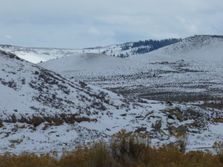 Filename=P1080402.JPG
Filesize=5295KiB
Dimensions=4320x3240
Date added=Jan 15, 2020 P1080402.JPG