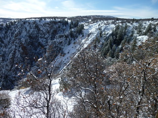 Filename=P1080410.JPG
Filesize=5762KiB
Dimensions=4320x3240
Date added=Jan 15, 2020 P1080410.JPG