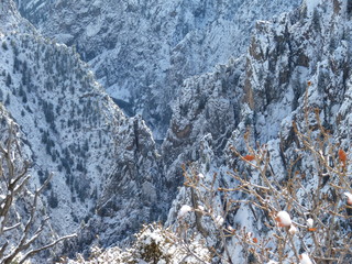 Filename=P1080411.JPG
Filesize=5693KiB
Dimensions=4320x3240
Date added=Jan 15, 2020 P1080411.JPG