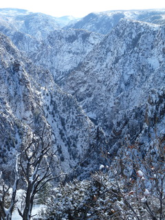 Filename=P1080418.JPG
Filesize=4657KiB
Dimensions=3240x4320
Date added=Jan 15, 2020 P1080418.JPG