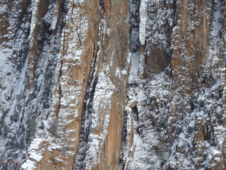 Filename=P1080464.JPG
Filesize=5989KiB
Dimensions=4320x3240
Date added=Jan 15, 2020 P1080464.JPG