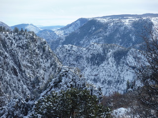 Filename=P1080465.JPG
Filesize=5777KiB
Dimensions=4320x3240
Date added=Jan 15, 2020 P1080465.JPG